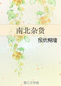 南北杂货全文无删减免费阅读