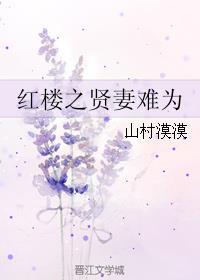 红楼之贤妻难为在线阅读