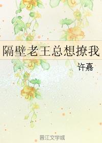 隔壁老王作者