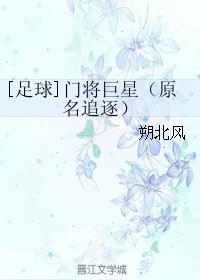 足球门将巨星txt