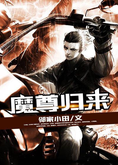 魔尊归来无敌于都市叶北