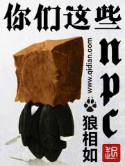 你们这群npc