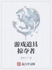 游戏道具掠夺者怎么玩