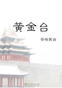 黄金台主角名字