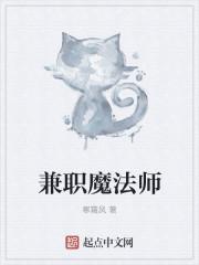 魔法师有什么职业