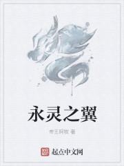 永恒之翼是什么