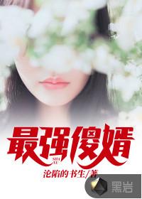 最强傻婿女主几个