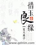 金玉良缘电视剧全集