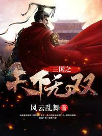 三国无双9