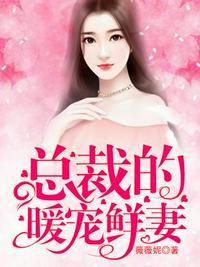 总裁的闪婚暖妻