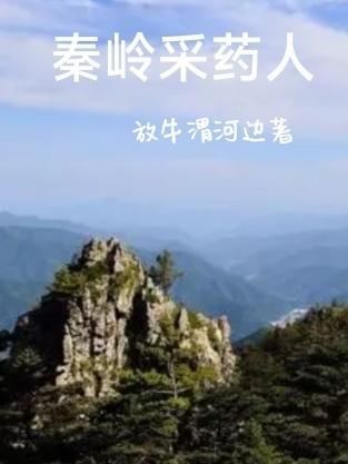 秦岭采药人放牛渭河边