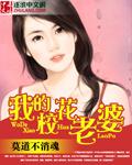 我的校花老婆免费版