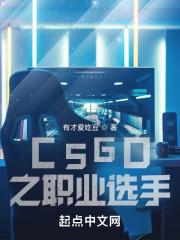 csgo之职业选手在线阅读