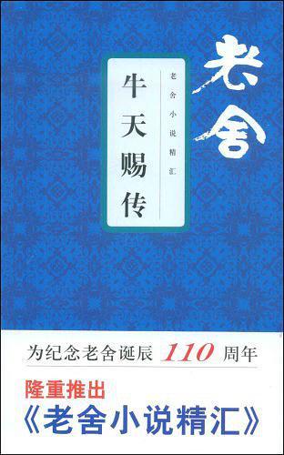 牛天赐传老舍阅读理解答案