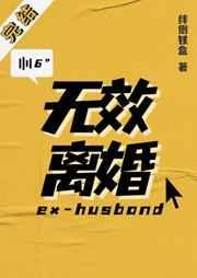 无效离婚笔趣阁