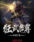 狂武兽尊顶点