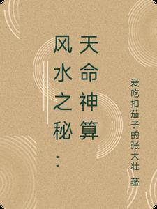 天命风水师完结版