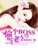 我老公是反派BOSS