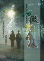 微光森林创造与魔法