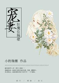 宠妻狂魔推荐