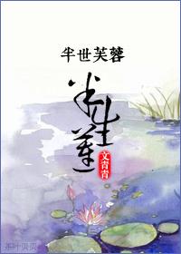 妃设小传100字左右